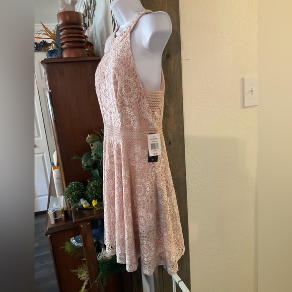 City Triangles Blush Lace Dress - Picture 2 of 11